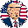 NEVER SURRENDER (TRUMP)